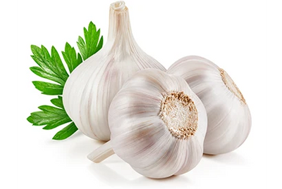 Garlic