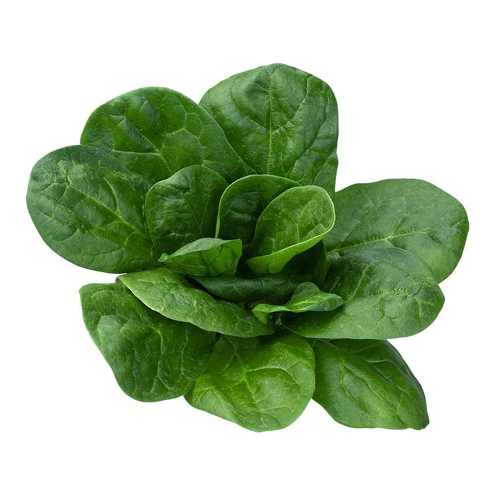 Methylfolate